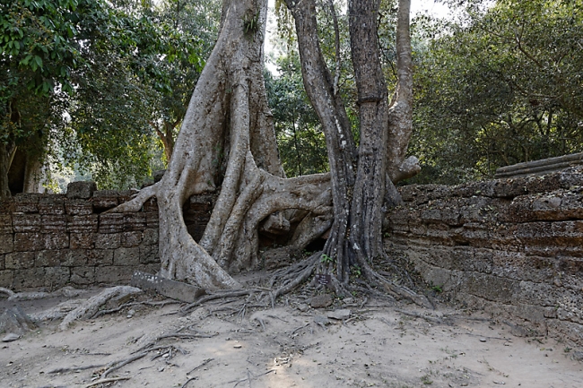 Ta Phrom et environs-051